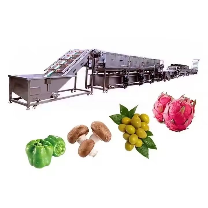 Automatic Vegetable Fruit Processing Line Fruit Vegetable Processing ...