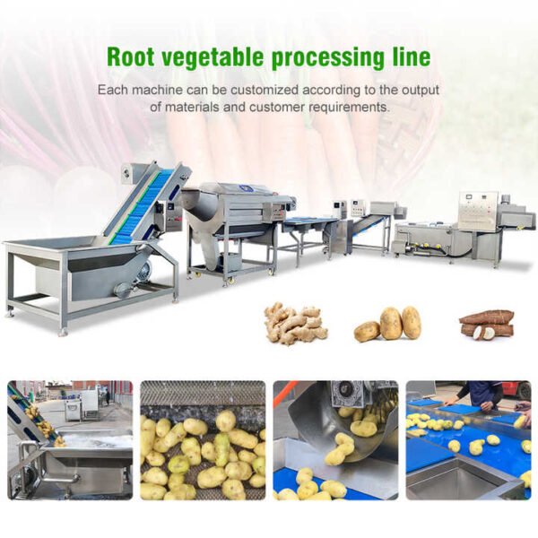 Full Automatic Industrial Clean Root Leafy Vegetable Washing Processing Line/Frozen Fruit Vegetable Production Line - Image 4