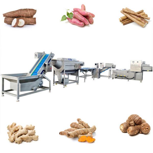 Full Automatic Industrial Clean Root Leafy Vegetable Washing Processing Line/Frozen Fruit Vegetable Production Line - Image 2