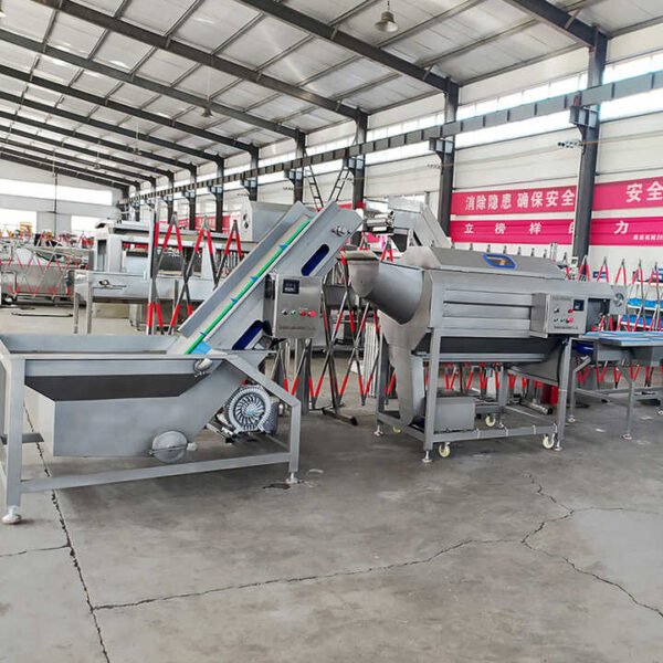 Full Automatic Industrial Clean Root Leafy Vegetable Washing Processing Line/Frozen Fruit Vegetable Production Line - Image 5
