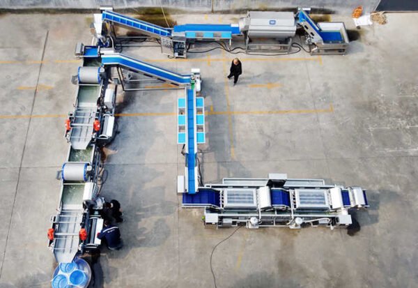 Full Automatic Industrial Clean Root Leafy Vegetable Washing Processing Line/Frozen Fruit Vegetable Production Line - Image 6